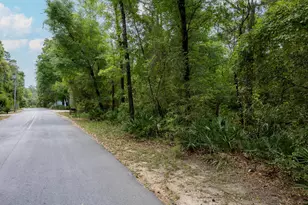 Lot X Piney Point Rd, Freeport, FL 32439 - Photo 3