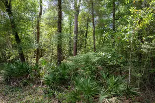 Lot X Piney Point Rd, Freeport, FL 32439 - Photo 9