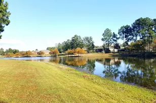 77 Meadow Lake Dr, Freeport, FL 32439 - Photo 63