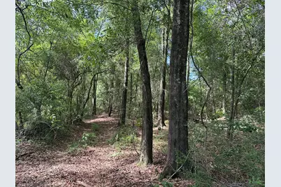 420 Gomillion Road, Florala, AL 36442 - Photo 29