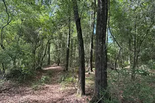 420 Gomillion Rd, Florala, AL 36442 - Photo 29