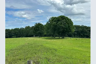 420 Gomillion Road, Florala, AL 36442 - Photo 5