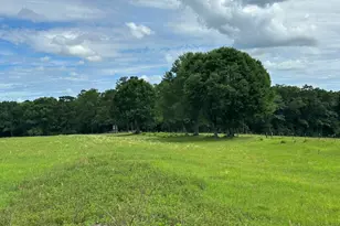 420 Gomillion Rd, Florala, AL 36442 - Photo 5