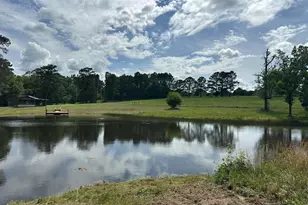420 Gomillion Rd, Florala, AL 36442 - Photo 15