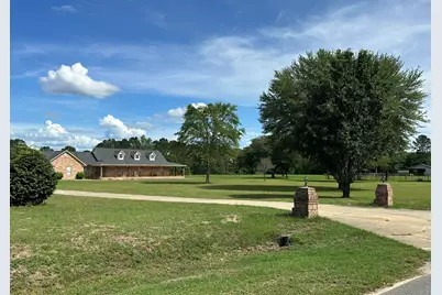 420 Gomillion Road, Florala, AL 36442 - Photo 1