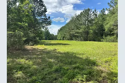 420 Gomillion Road, Florala, AL 36442 - Photo 23