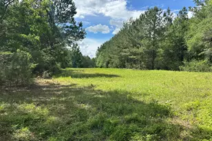 420 Gomillion Rd, Florala, AL 36442 - Photo 23
