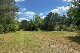 420 Gomillion Rd, Florala, AL 36442 - Photo 25