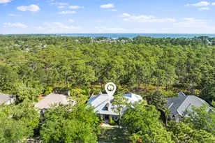 151 Botany Blvd, Santa Rosa Beach, FL 32459 - Photo 41