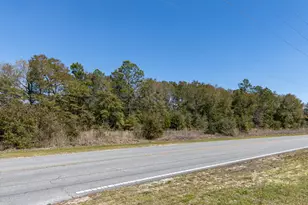 Lot C 63 Acres On Walton Rd, Defuniak Springs, FL 32433 - Photo 5