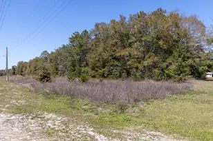 Lot C 63 Acres On Walton Rd, Defuniak Springs, FL 32433 - Photo 7