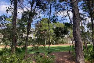 87 Cobia Run, Inlet Beach, FL 32461 - Photo 11