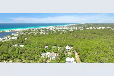 123 Chance Lane, Inlet Beach, FL 32461 - Photo 77