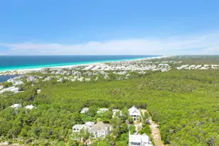 123 Chance Ln, Inlet Beach, FL 32461 - Photo 77