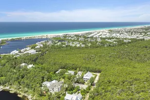 123 Chance Ln, Inlet Beach, FL 32461 - Photo 89