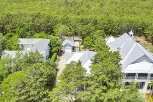 123 Chance Ln, Inlet Beach, FL 32461 - Photo 75