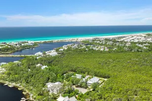 123 Chance Ln, Inlet Beach, FL 32461 - Photo 87
