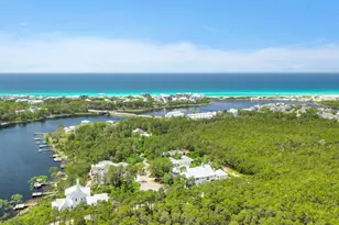 123 Chance Ln, Inlet Beach, FL 32461 - Photo 83
