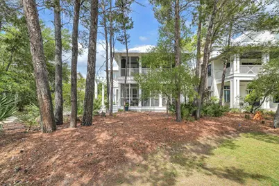 123 Chance Lane, Inlet Beach, FL 32461 - Photo 57