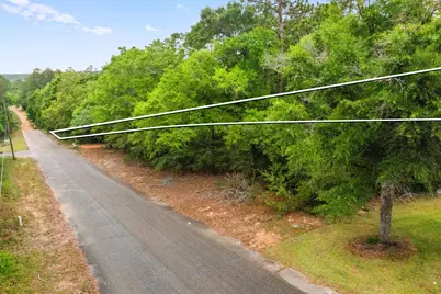 . Sam Carver Road, Crestview, FL 32536 - Photo 11