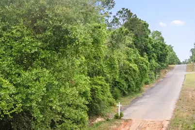 . Sam Carver Road, Crestview, FL 32536 - Photo 15
