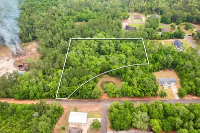 . Sam Carver Road, Crestview, FL 32536 - Photo 3
