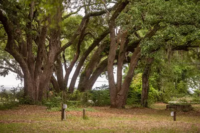 14332 Florida 20, Freeport, FL 32439 - Photo 7