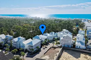 60 Charming Wy, Santa Rosa Beach, FL 32459 - Photo 47