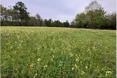 6935 Beau Chene Lane, Florala, AL 36442 - Photo 61