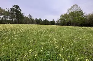 6935 Beau Chene Ln, Florala, AL 36442 - Photo 61