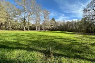 6935 Beau Chene Ln, Florala, AL 36442 - Photo 55