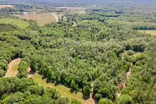 6935 Beau Chene Ln, Florala, AL 36442 - Photo 39