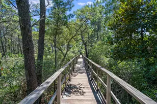 52 Bentley Ln, Santa Rosa Beach, FL 32459 - Photo 65
