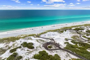 41 N Shingle Ln, Watersound, FL 32461 - Photo 43