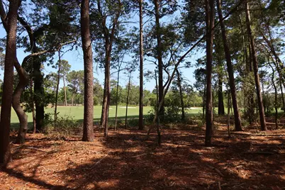 1626 Lost Cove Lane, Panama City Beach, FL 32413 - Photo 5