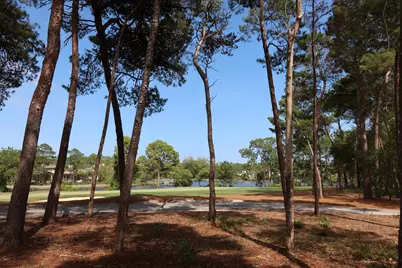 22600 Turtleback Lane, Panama City Beach, FL 32413 - Photo 5