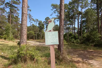 22600 Turtleback Lane, Panama City Beach, FL 32413 - Photo 3