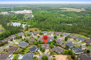 48 Madiera Dr, Freeport, FL 32439 - Photo 63