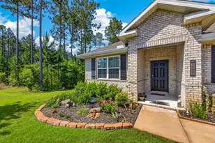 247 E Sky Wy, Freeport, FL 32439 - Photo 1