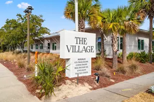 49 Seaboard Ln, Santa Rosa Beach, FL 32459 - Photo 67
