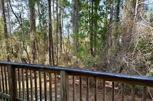 732 E Mack Bayou Dr, Santa Rosa Beach, FL 32459 - Photo 39