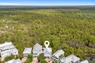 33 Emerald Beach Way, Santa Rosa Beach, FL 32459 - Photo 57