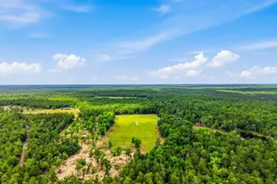 175 W T Hulion Rd, Crestview, FL 32539 - Photo 69