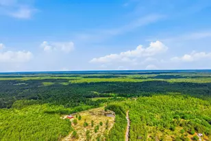 175 W T Hulion Rd, Crestview, FL 32539 - Photo 73