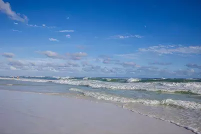 1534 Scenic Gulf Drive #UNIT 9, Miramar Beach, FL 32550 - Photo 23