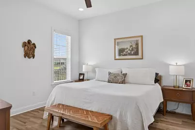 202 Suwannee Drive, Inlet Beach, FL 32461 - Photo 29