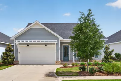 202 Suwannee Drive, Inlet Beach, FL 32461 - Photo 1