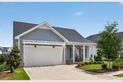 202 Suwannee Drive, Inlet Beach, FL 32461 - Photo 3