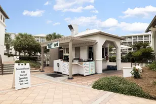 42 W Seacrest Beach Blvd, Alys Beach, FL 32461 - Photo 49