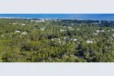 202 Climbing Rose Way Way, Santa Rosa Beach, FL 32459 - Photo 63